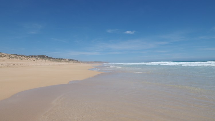 west-cape-beach-marion-bay-south-australia