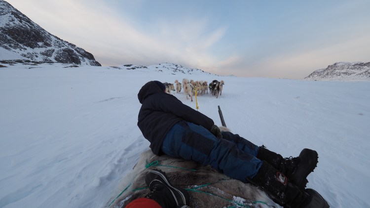 sisimiut-greenland-dog-sled