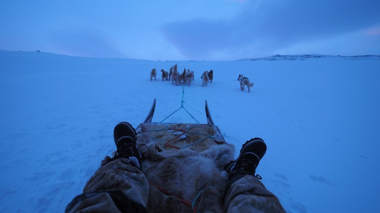ilulissat-greenland-dog-sledding