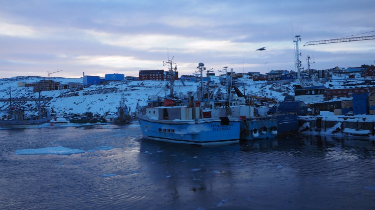 greenland-ilulissat-harbour