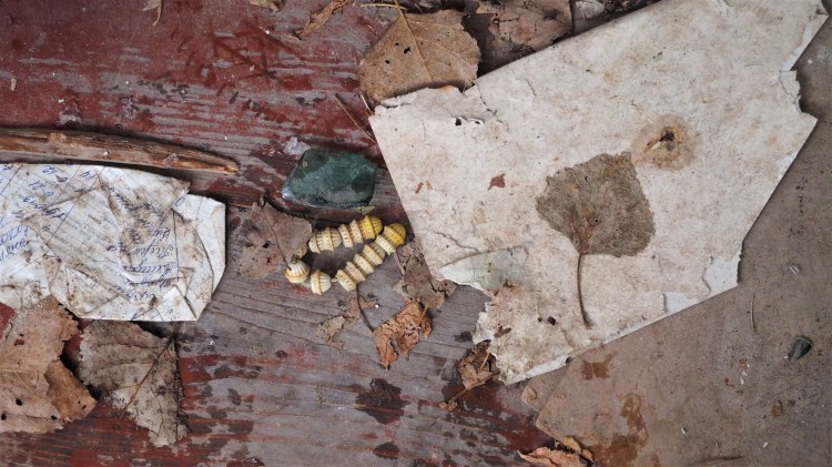 ukraine-chernobyl-pripyat-travel-blog