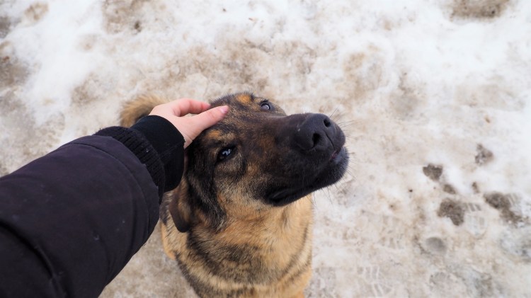 ukraine-chernobyl-pripyat-travel-blog