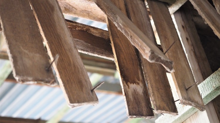 ukraine-chernobyl-pripyat-travel-blog