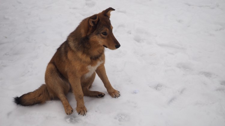 ukraine-chernobyl-pripyat-travel-blog