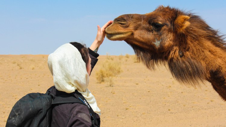 iran-travel-blog-maranjab-desert-kashan-solo-backpacking
