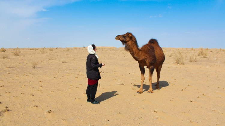 iran-travel-blog-maranjab-desert-kashan-solo-backpacking