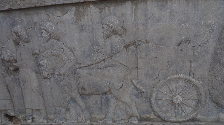 persepolis-iran-shiraz-blog-travel-solo-backpacking