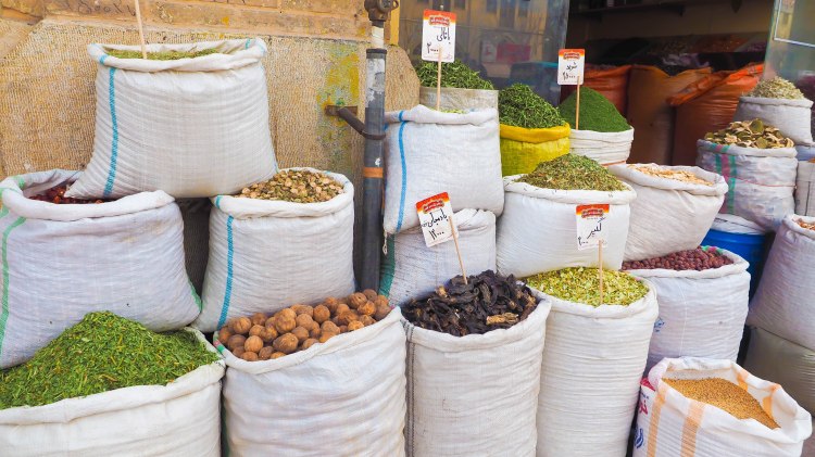 shiraz-iran-travel-blog-solo-backpacking