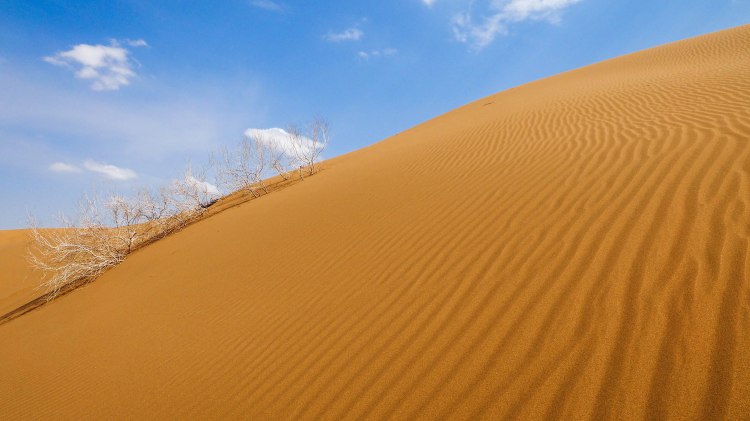 iran-travel-blog-maranjab-desert-kashan-solo-backpacking