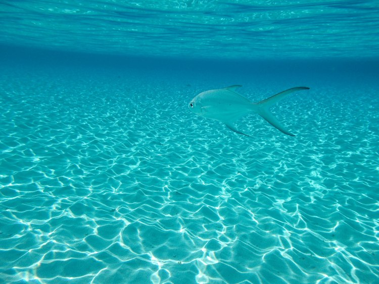 maldives-travel-blog-2017