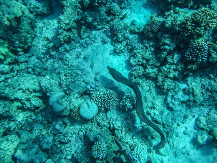 maldives-travel-blog-2017