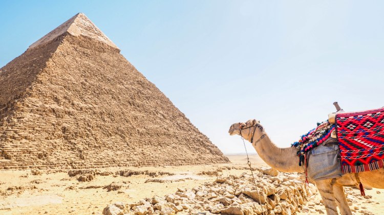 giza-pyramids-travel-blog-cairo-egypt-ancient-wonder-solo-backpacking