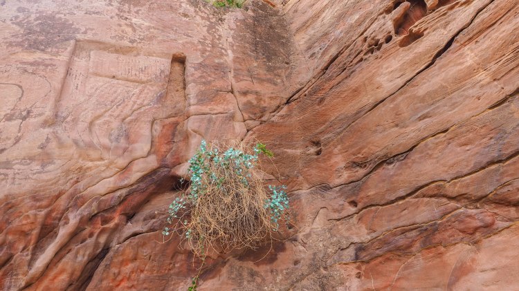 How to hike the 'Secret Trail' to above the Treasury in Petra