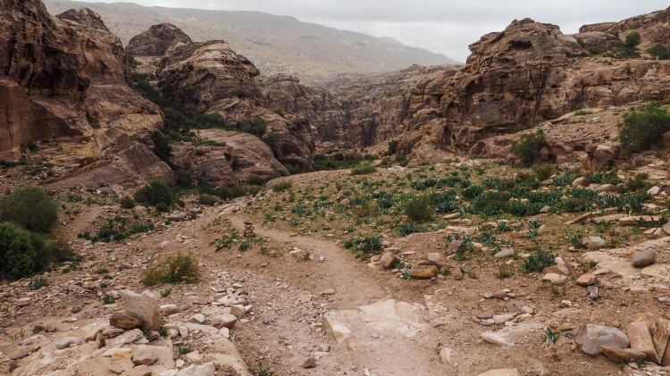 How to hike the 'Secret Trail' to above the Treasury in Petra