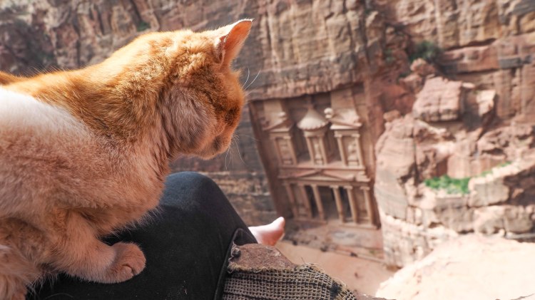 How to hike the 'Secret Trail' to above the Treasury in Petra