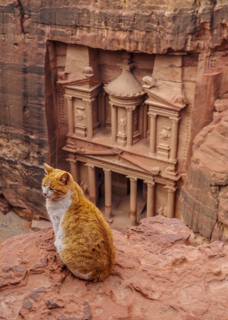 How to hike the 'Secret Trail' to above the Treasury in Petra