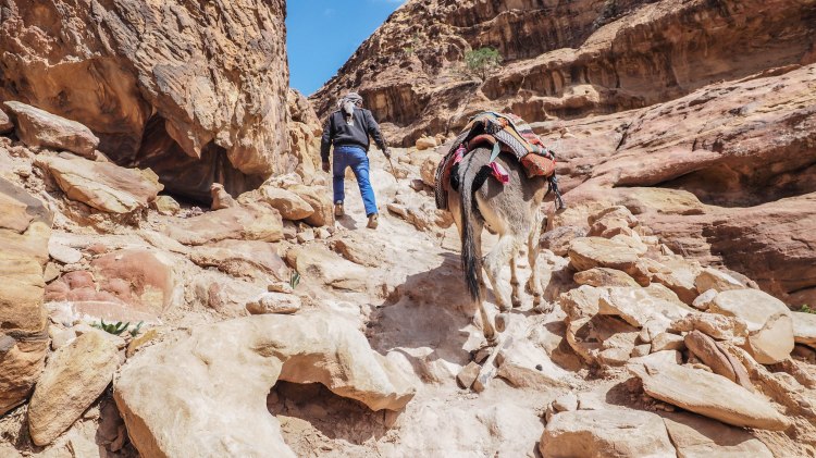 How to hike the 'Secret Trail' to above the Treasury in Petra