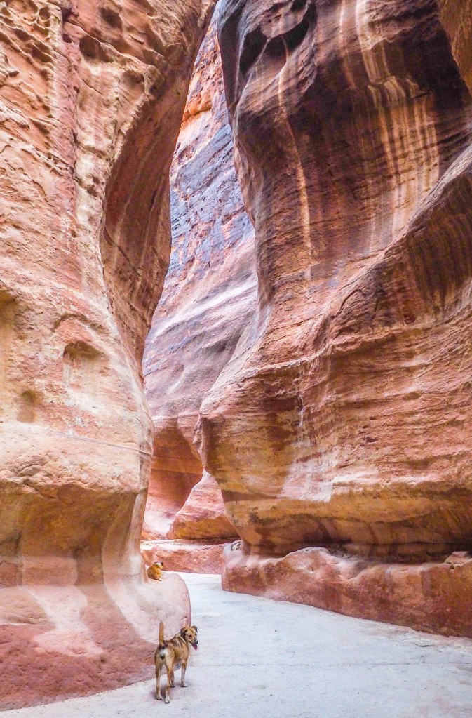 Visiting the Treasury at Petra solo (and having it all to yourself)