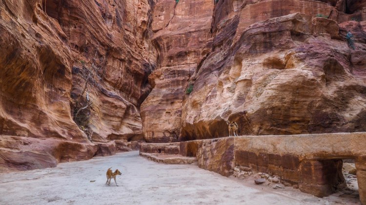 Visiting the Treasury at Petra solo (and having it all to yourself)