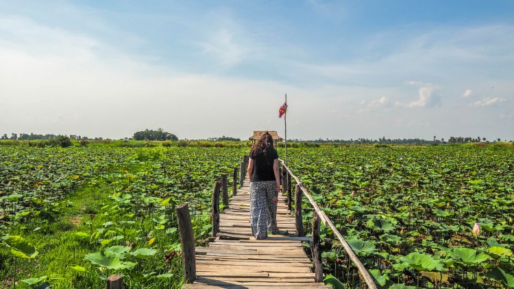 siem-reap-travel-blog-cambodia-budget-backpacking-solo-floating-village-lotus-field