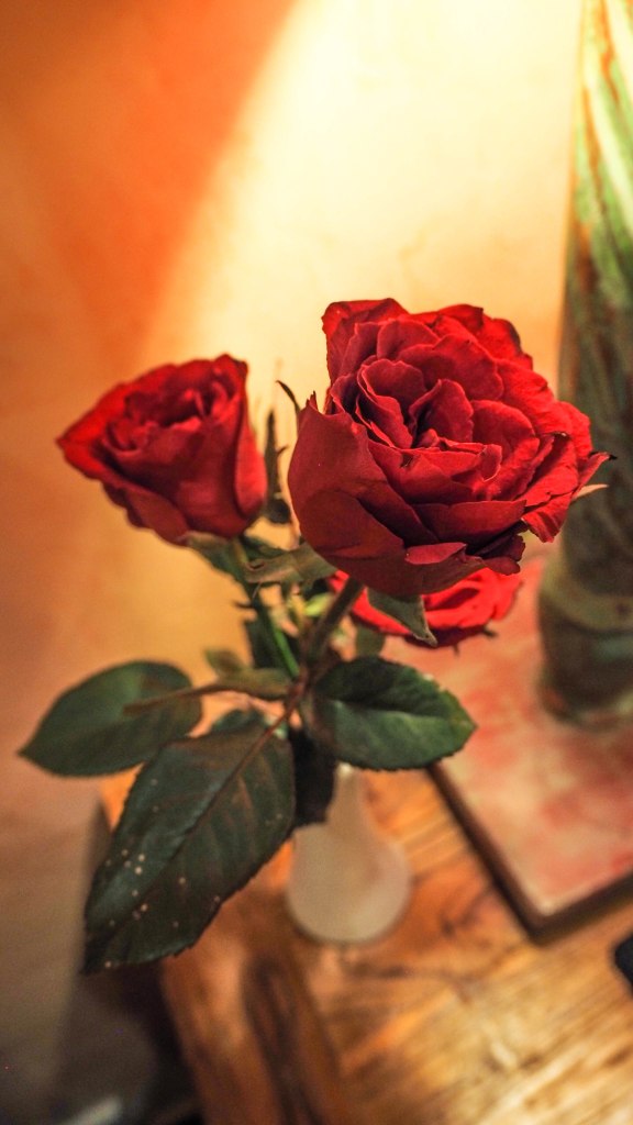 bali-ubud-travel-blog-jungle-retreat-kupu-kupu-barong-luxury-backpacking-solo