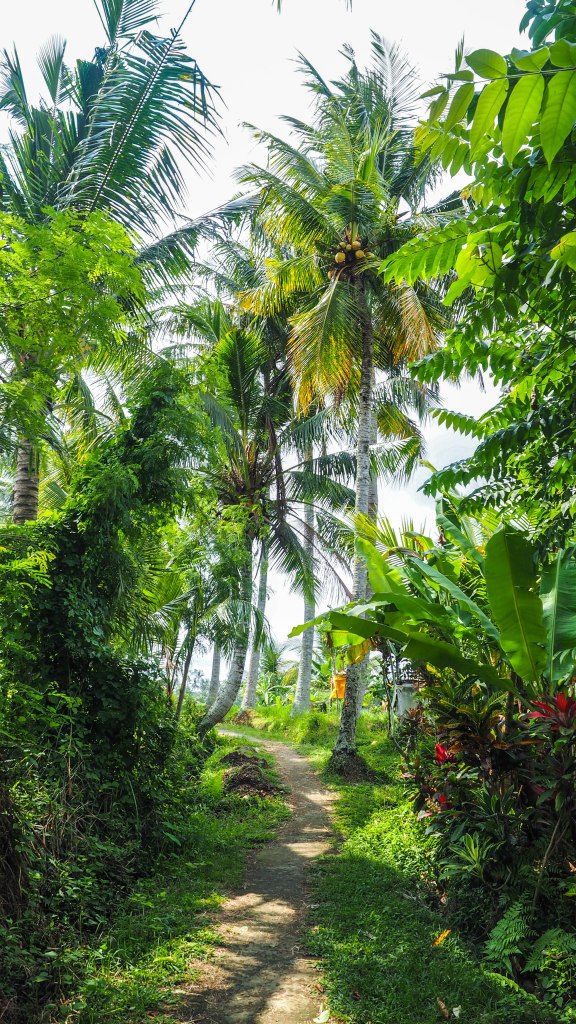bali-ubud-travel-blog-jungle-retreat-kupu-kupu-barong-luxury-backpacking-solo-rice-fields