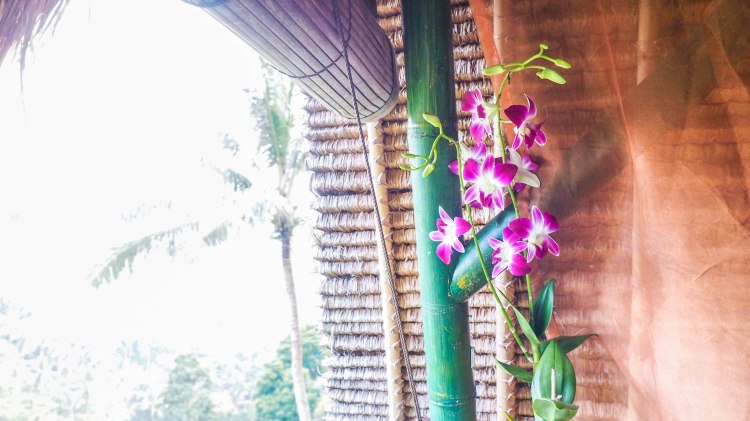 bali-ubud-travel-blog-jungle-retreat-kupu-kupu-barong-luxury-backpacking-solo