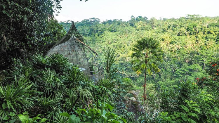 bali-ubud-travel-blog-jungle-retreat-kupu-kupu-barong-luxury-backpacking-solo