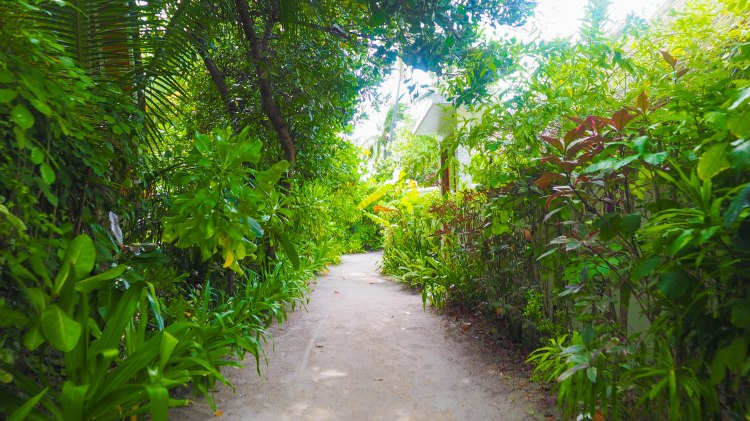kandolhu-maldives-travel-blog-resort-solo-luxury