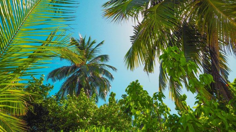 kandolhu-maldives-travel-blog-resort-solo-luxury