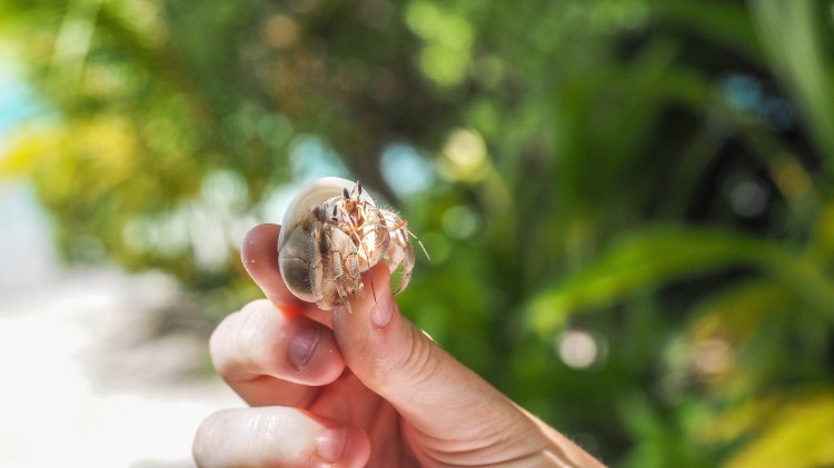 kandolhu-maldives-travel-blog-resort-solo-luxury