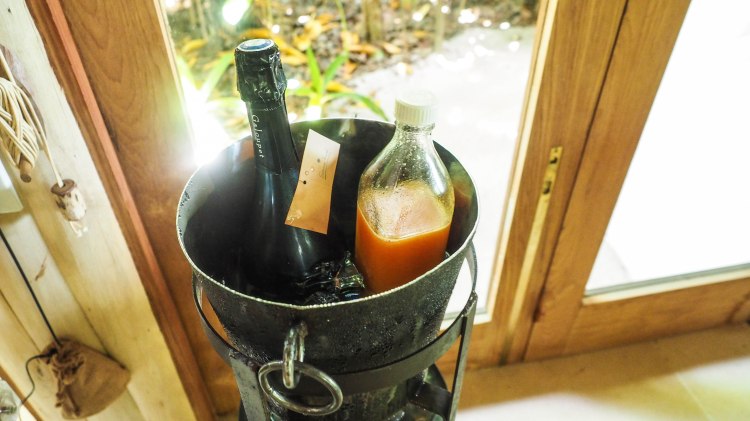 travel-blog-soneva-fushi-maldives-solo-luxury