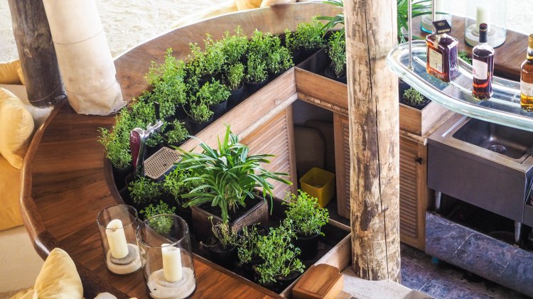 travel-blog-soneva-fushi-maldives-solo-luxury