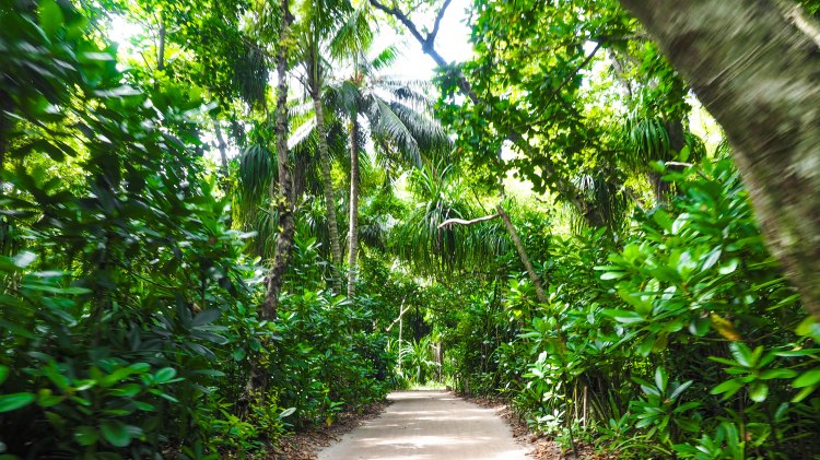 travel-blog-soneva-fushi-maldives-solo-luxury