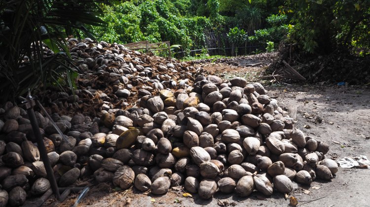 travel-blog-soneva-fushi-maldives-solo-luxury