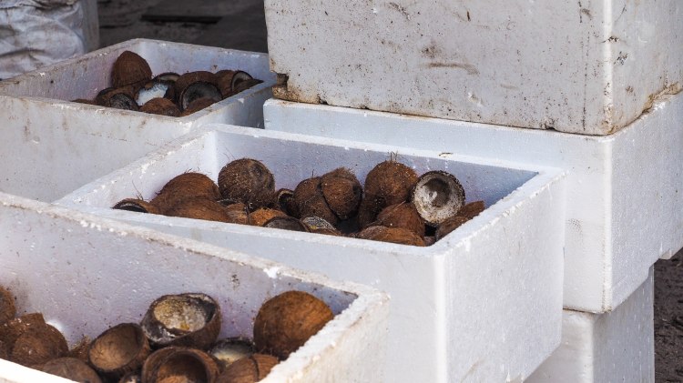 travel-blog-soneva-fushi-maldives-solo-luxury