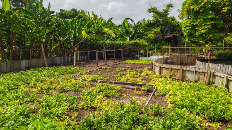 travel-blog-soneva-fushi-maldives-solo-luxury