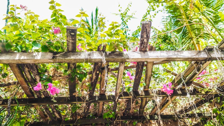 travel-blog-soneva-fushi-maldives-solo-luxury