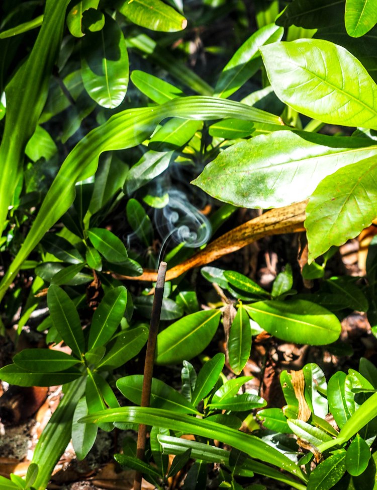 travel-blog-soneva-fushi-maldives-solo-luxury