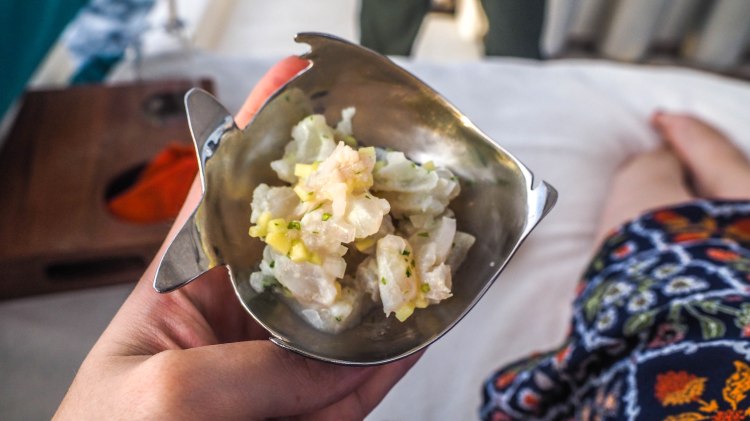 travel-blog-soneva-fushi-maldives-solo-luxury