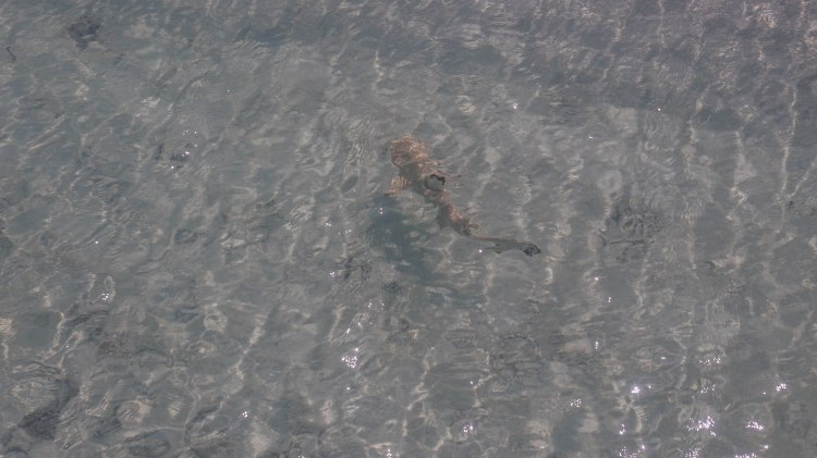 soneva-fushi-travel-blog-maldives-villa-luxury