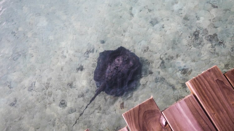 soneva-fushi-travel-blog-maldives-villa-luxury