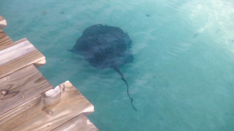 soneva-fushi-travel-blog-maldives-villa-luxury