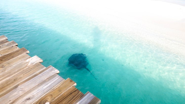 soneva-fushi-travel-blog-maldives-villa-luxury