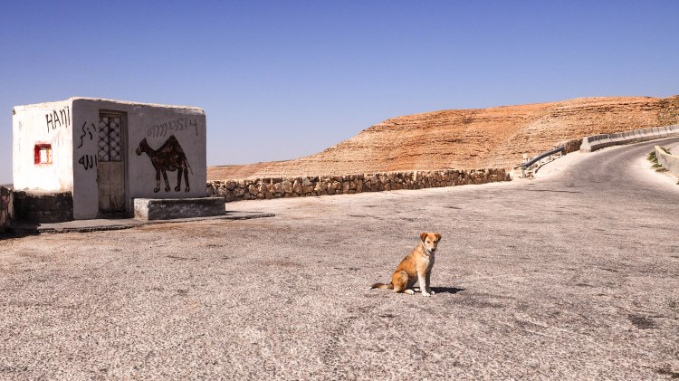 kings-highway-travel-blog-jordan-backpacking-solo