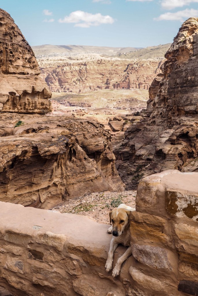 A guide and photo journal about hiking to the Monastery in Petra and why you should NEVER ride a donkey!