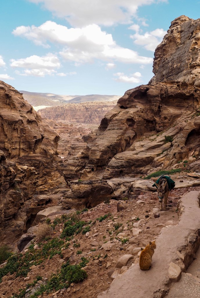 A guide and photo journal about hiking to the Monastery in Petra and why you should NEVER ride a donkey!