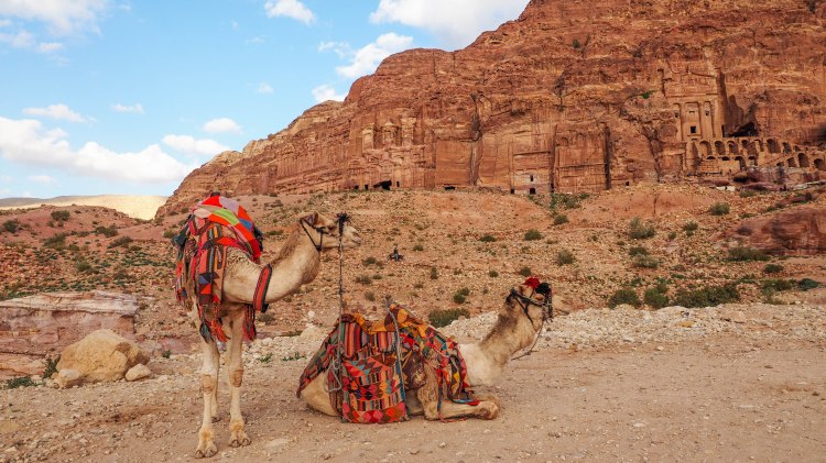 A guide and photo journal about hiking to the Monastery in Petra and why you should NEVER ride a donkey!