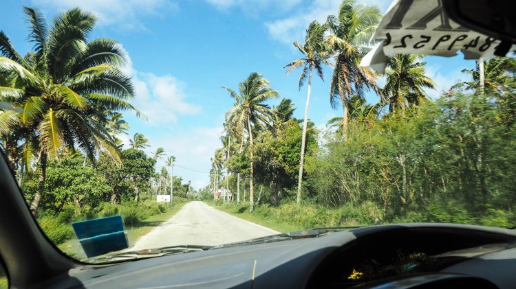 sea-change-travel-blog-eco-lodge-retreat-tonga-swimming-with-humpback-whales-humpbacks-swim-solo-backpacking-haapai-ha'apai