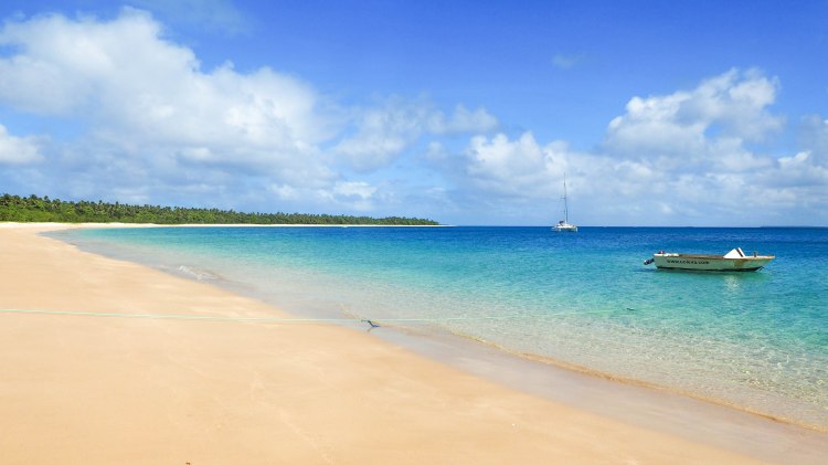 sea-change-travel-blog-eco-lodge-retreat-tonga-swimming-with-humpback-whales-humpbacks-swim-solo-backpacking-haapai-ha'apai